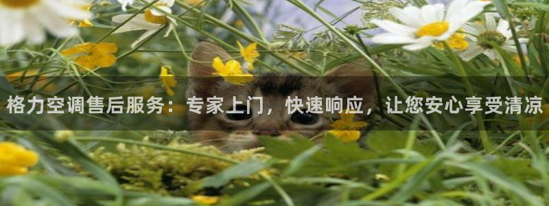 环球360登录入口网址