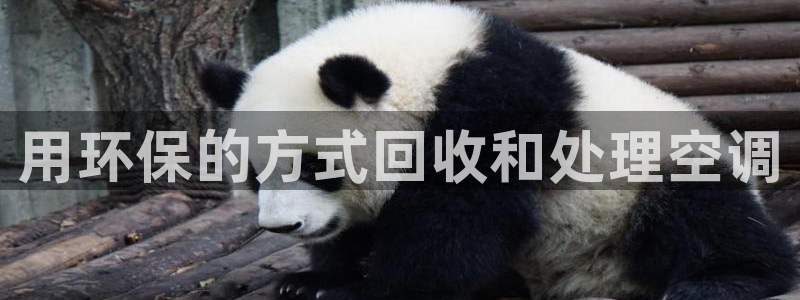 环球360会员登录注册