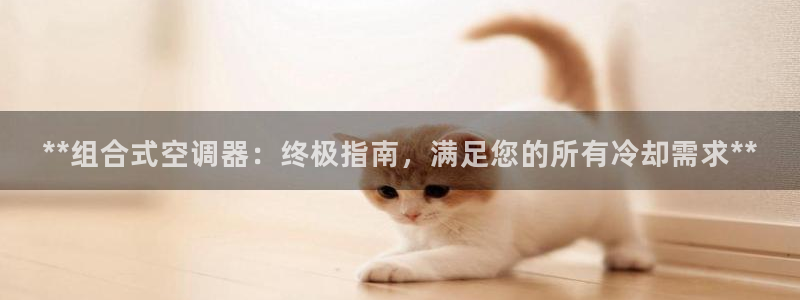 菲律宾环球360怎么样