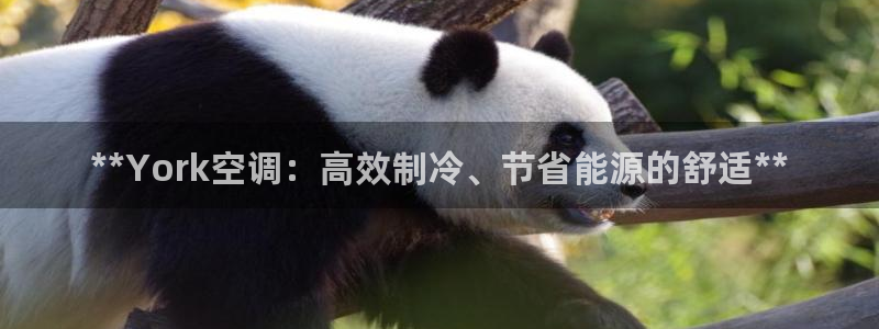 菲律宾环球360登陆网址是多少