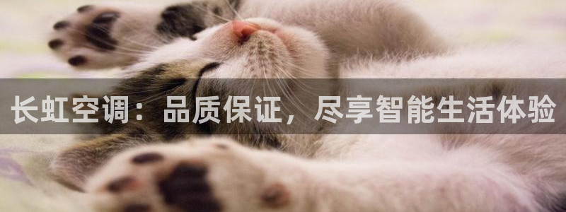 环球360官网手机版下载安装